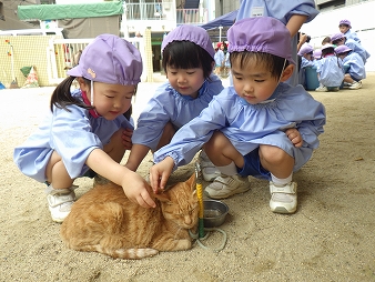 keiai動物園