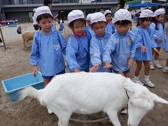 keiai動物園