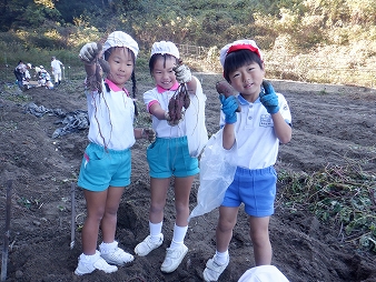 いもほり
