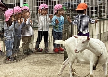 けいあい動物園