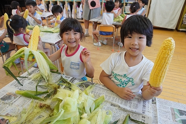 じゃがいもほりとトウモロコシのかわむき