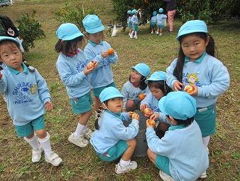 みかん狩り(くま組）