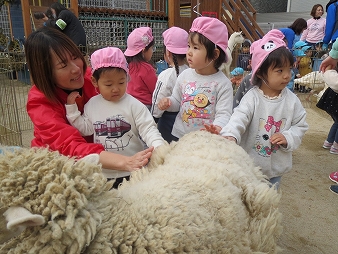keiai動物園